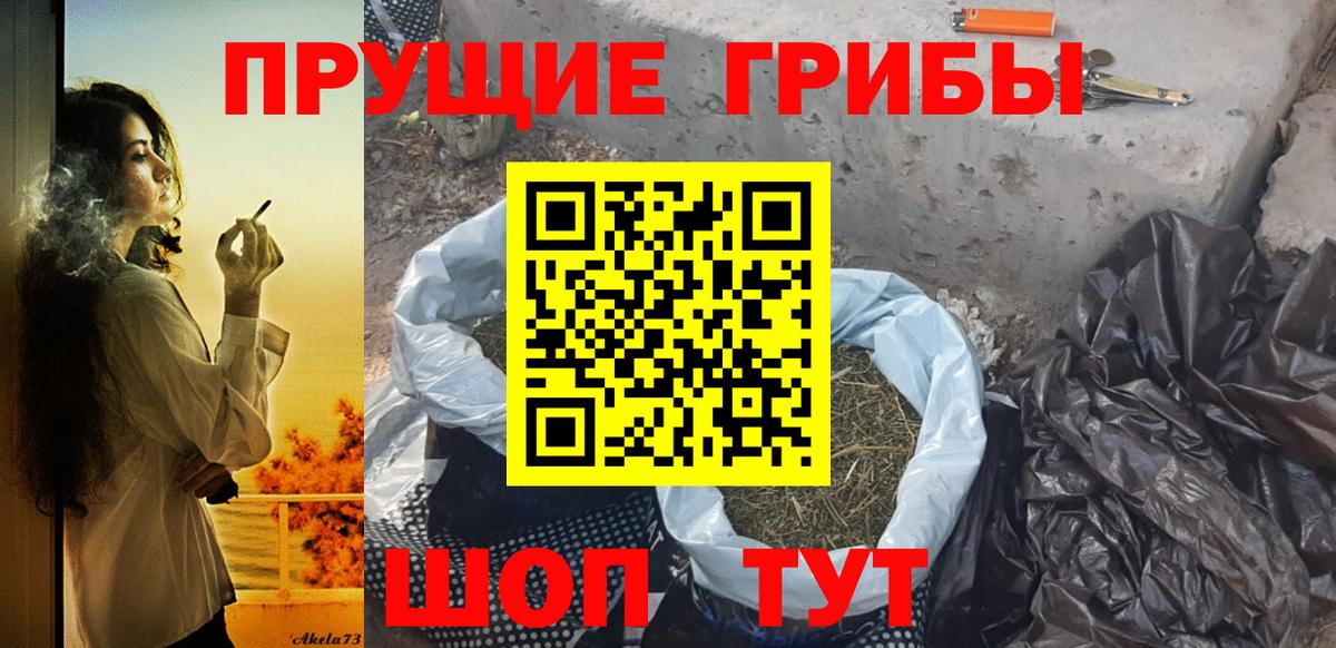 Назарово  Галлюциногенные грибы GOLDEN TEACHER  Вход с VPN 