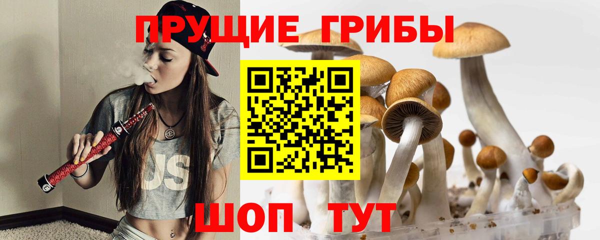 Галлюциногенные грибы GOLDEN TEACHER Назарово